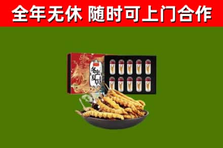 邯郸烟酒回收冬虫夏草礼盒.jpg